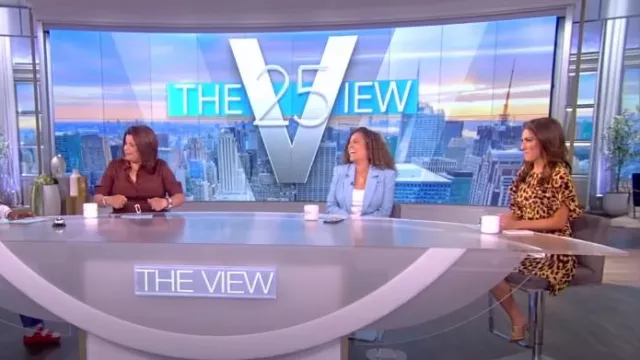 Stella McCartney Cheetah Print Silk Minidress worn by Alyssa Farah as seen  in The View on 11 July 2022