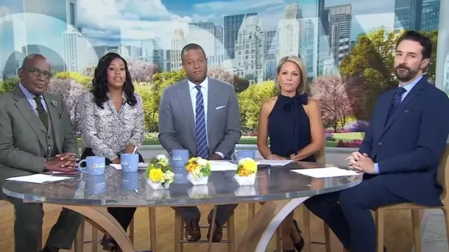 Vince Camuto Halter Tie Neck A-Line Dress worn by Dylan Dreyer as seen in Today on August 9,2022