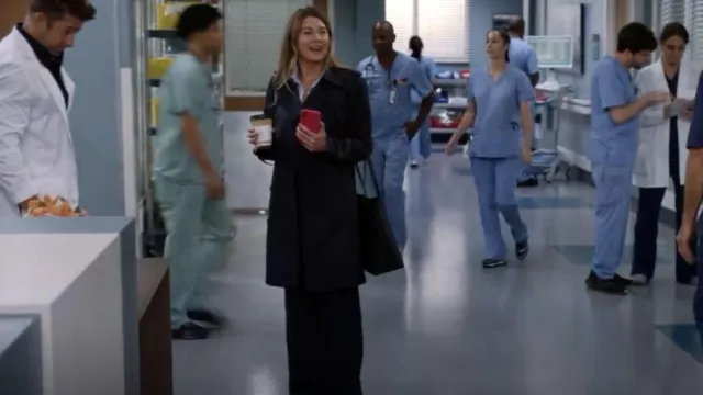 Madewell The Trans­port Tote worn by Dr. Meredith Grey (Ellen Pompeo) as seen in Grey's Anatomy (S19E03)
