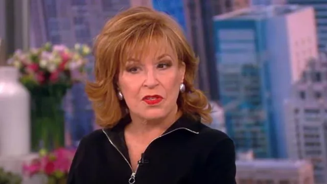 Lafayette 148 Half Zip Ribbed Back Sweater worn by Joy Behar as seen in The View on November 8, 2022
