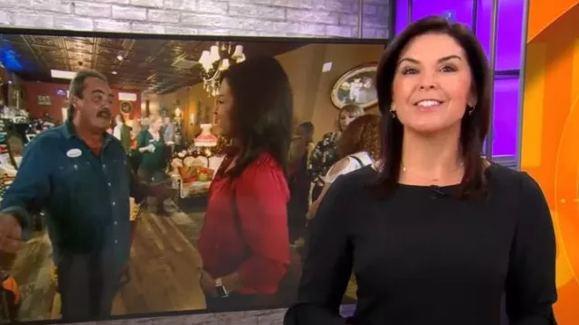 Robe en crêpe Karl Lagerfeld Paris Tulip Sleeve portée par Meg Oliver vue dans CBS Mornings le 22 novembre 2022