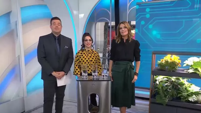 Frame Shirred Sleeve Silk Blouse worn by Savannah Guthrie as seen in Today on January 30, 2023
