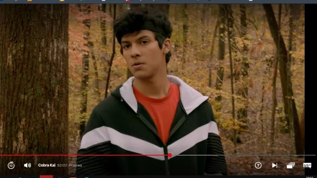 Hoodie worn by Miguel Diaz (Xolo Maridueña) in Cobra Kai TV series (S02E07)