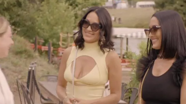 Tom Ford Anoushka Sunglasses worn by Brie Bella as seen in Nikki Bella Says I Do (S01E03)