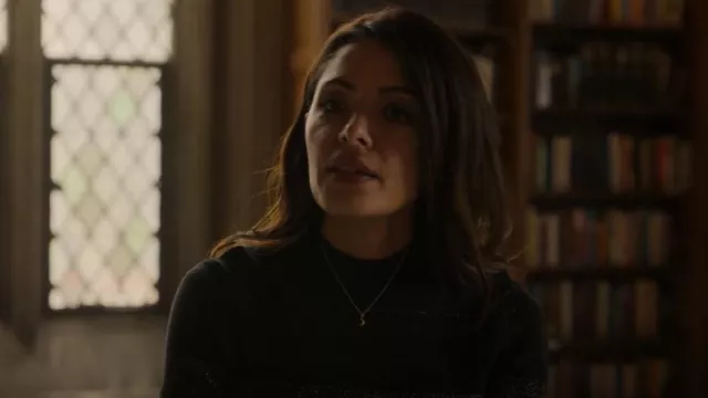 Wolf and Zephyr Clear Crescent Moon Necklace Gold Vermeil usado por Billie Connelly (Sarah Shahi) como se ve en Sex/Life (S02E02)