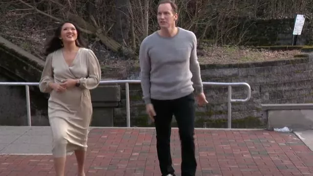 Ann Taylor Shimmer Vestido plisado usado por Nancy Chen como se ve en CBS Mornings el 12 de marzo de 2023
