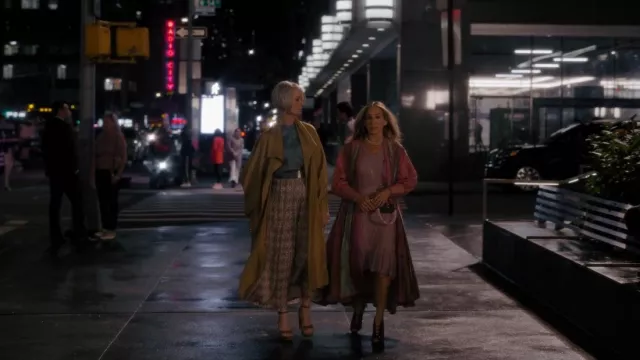 Gianvito Rossi Poppy 100 Suede Platform Sandals worn by Miranda Hobbes (Cynthia Nixon) as seen in And Just Like That… (S01E07)