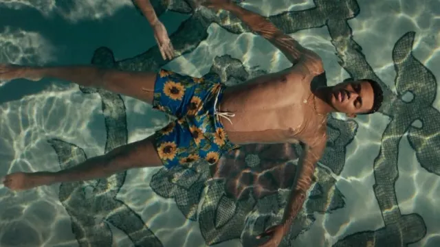 PacSun Recycled Sunflower 17" Swim Trunks worn by Will Smith (Jabari Banks) as seen in Bel-Air (S02E05)