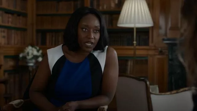 Kasper Sleeveless Colorblocked Sheath Dress worn by Billie Appiah (Nana Mensah) as seen in The Diplomat (S01E03)