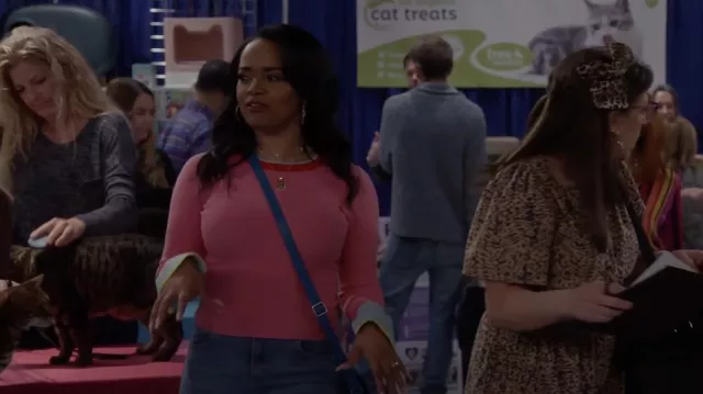Alice + Olivia Westi Ribbed Knit Jumper worn by Randi (Kyla Pratt) as seen in Call Me Kat (S03E21)