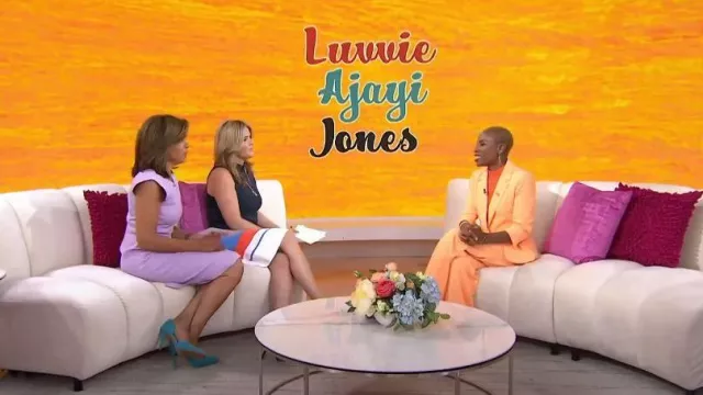 Dkny High Rise Wide-Leg Pull-On Pants worn by Luvvie Ajayi as seen in Today with Hoda & Jenna on May 5, 2023