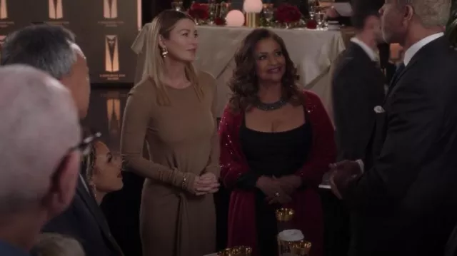 Saint Laurent Knotted Jersey Gown worn by Dr. Meredith Grey (Ellen Pompeo) as seen in Grey's Anatomy (S19E20)