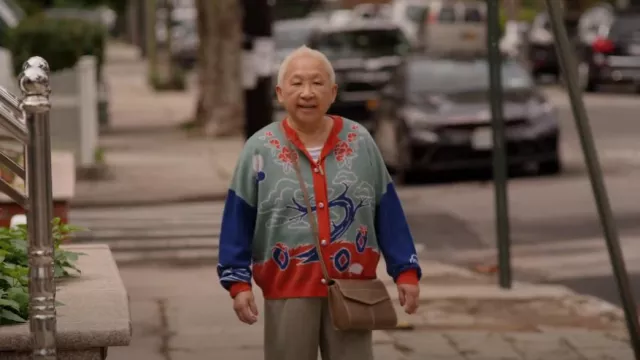 Doux Oriental x Dawang Slay Le cardigan tigre porté par grand-mère (Lori Tan Chinn) comme on le voit dans Awkwafina est Nora du Queens (S03E05)
