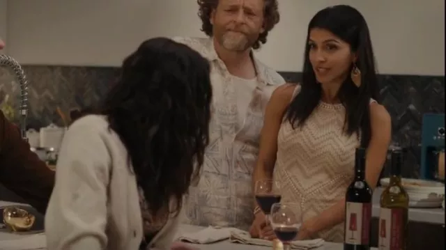 Guess Janet Dress worn by Dawn (Nazneen Contractor) as seen in Children Ruin Everything (S02E08)