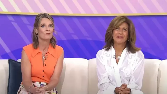 Zara Semi Sheer Embroidered Blouse worn by Hoda Kotb as seen in Today on  July 14, 2023