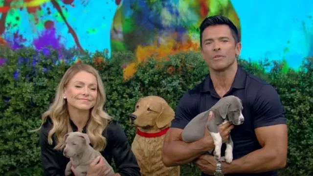 Circolo 1901 Short-sleeve Cot­ton Po­lo shirt worn by Mark Consuelos as seen in LIVE with Kelly and Mark on July 25, 2023