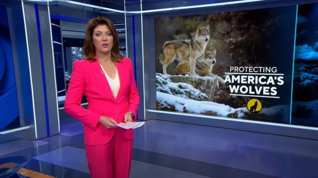 Alexander McQueen Pantalones de crepé de pierna recta usados por Norah O'Donnell como se ve en CBS Evening News el 21 de julio de 2023