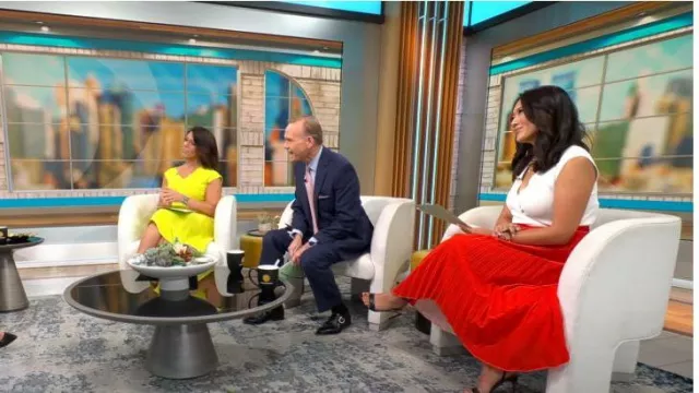 A.w.a.k.e. Double Trouble Doric Pleated Two-tone Cady Midi Skirt worn by Nancy Chen as seen in CBS Mornings on July 24, 2023