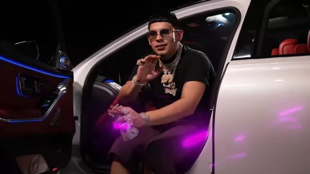 Short de survêtement Fear of God Plum Brown porté par DeeBaby dans Star Shootin / Essentials (VIDÉO OFFICIELLE)