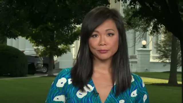 Diane von Furstenberg Julian Dress in Ocean Tide Quetzal Green worn by Weijia Jiang as seen in CBS Mornings on  August 30, 2023