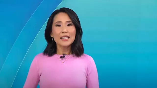Zara Basic Knit Sweater worn by Vicky Nguyen as seen in Today on September 4, 2023