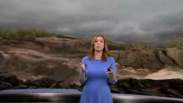 Eliza J Seamed Fit & Flare Dress worn by Stephanie Abrams as seen in CBS Mornings on September 13, 2023