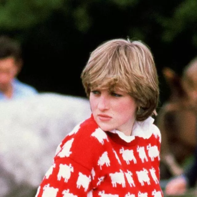 Black Sheep Red Sweater worn by Diana, Princess of Wales on the ...