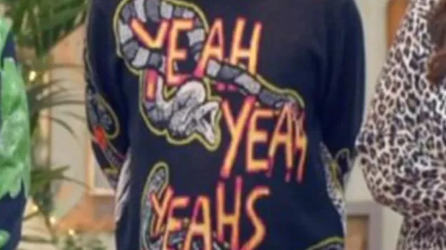 Yeah Yeah Yeahs Snake Sweater worn by Noel Fielding for The Great Celebrity Bake Off Season 14 Promo picture
