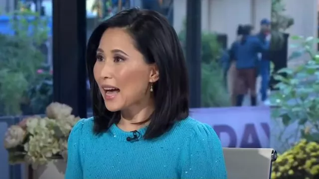 Generation Love Mia Sequin Sweater In Scuba Blue worn by Vicky Nguyen as seen in Today on November 6, 2023