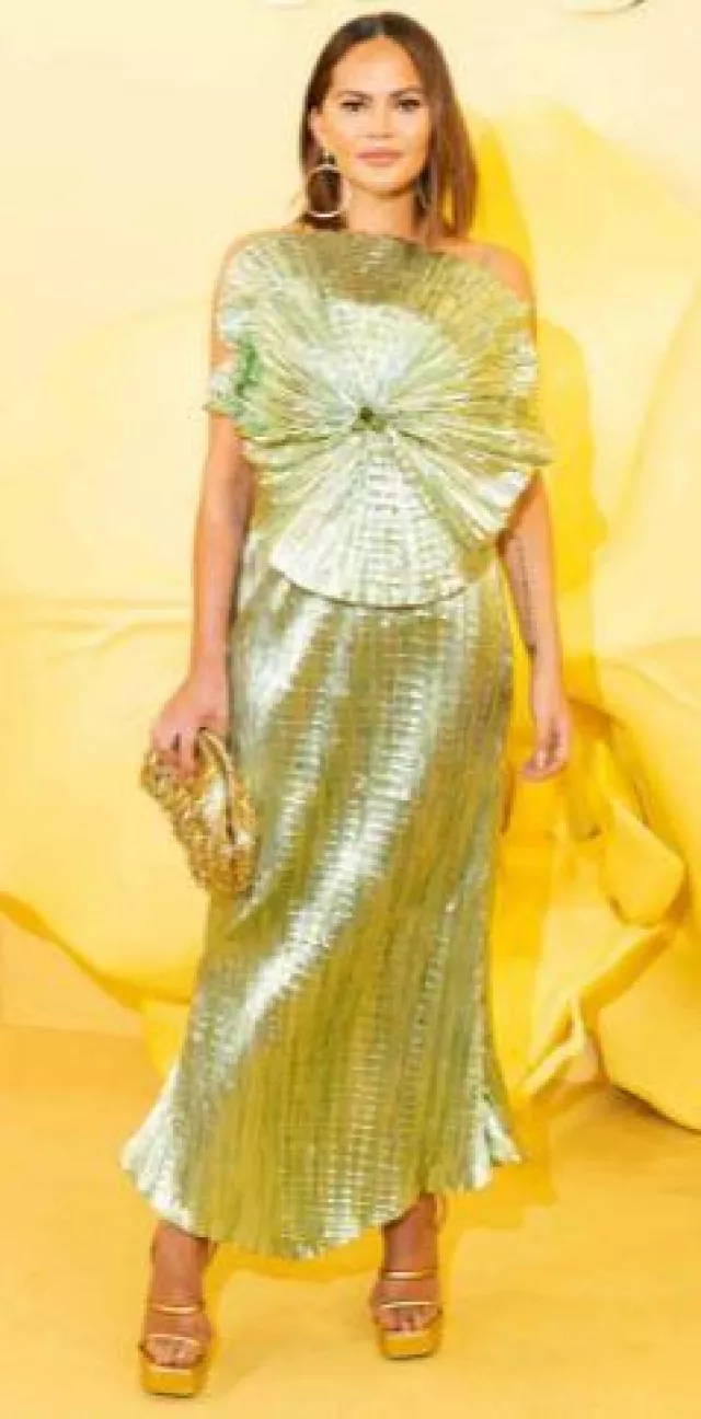 Cult Gaia Serena Earring worn by Chrissy Teigen at Cult Gaia Runway