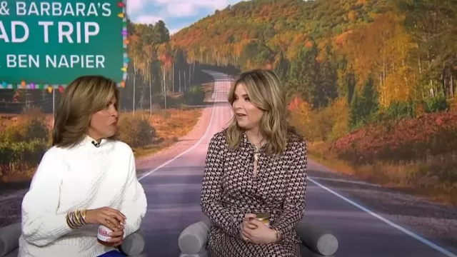Diane Von Furstenberg Michelle Jumpsuit In Wave Geo Camel worn by Jenna Bush Hager as seen in  Today with Hoda & Jenna on  November 17, 2023