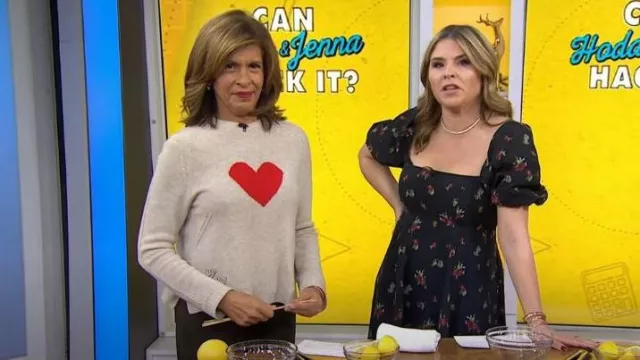 Hill House Home The Matilda Dress worn by Jenna Bush Hager as seen in Today  with Hoda & Jenna on  December 1, 2023
