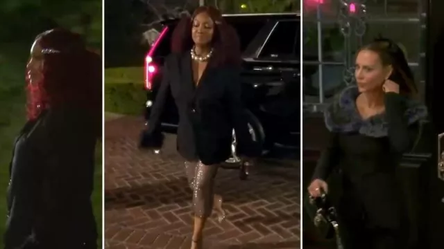 Misha Alet­ta Dia­mante Mesh Skirt worn by Garcelle Beauvais as seen in The Real Housewives of Beverly Hills (S13E06)
