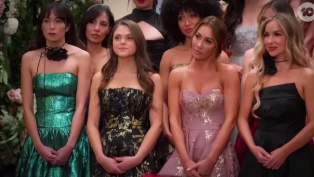 Bariano Northern Lights Strapless Tiered Ballgown worn by Evangeline Batalha as seen in The Bachelor (S11E01)