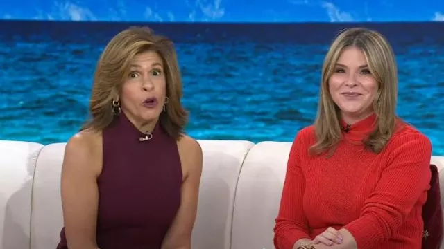 Jennifer Miller Wired Hoop Earrings worn by Hoda Kotb as seen in Today ...