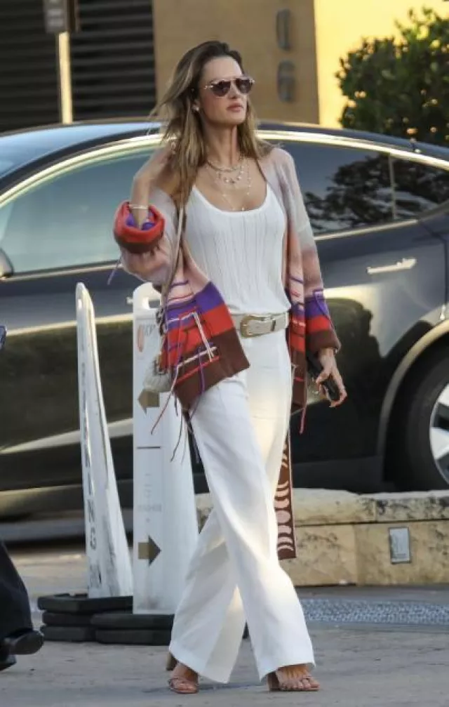 Canessa Patterned-Intarsia Cashmere Cardigan worn by Alessandra Ambrosio in Malibu on December 15, 2023