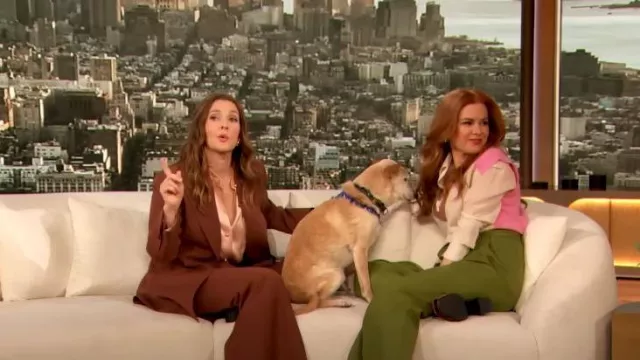Me + Em Merino Cashmere Colour Block Sweater Vest worn by Isla Fisher as seen in The Drew Barrymore Show on January 24, 2024