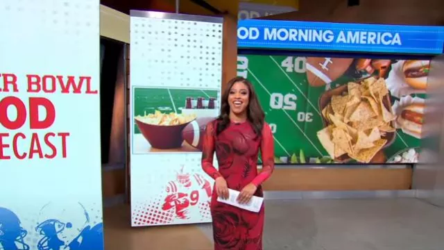 Vestido AFRM Didi usado por Morgan Norwood como se vio en Good Morning America el 1 de febrero de 2024