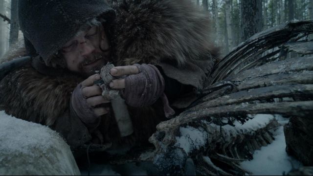 Les authentiques os rongés par Hugh Glass (Leonardo DiCaprio) dans The Revenant