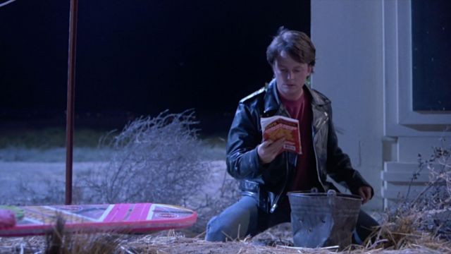 L'Almanac des sports déniché par Marty McFly (Michael J. Fox) dans Retour vers le futur 2