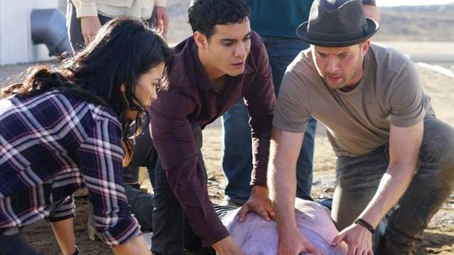 Happy Quinn's (Jadyn Wong) PAIGE camisa a cuadros en Scorpion S03E12