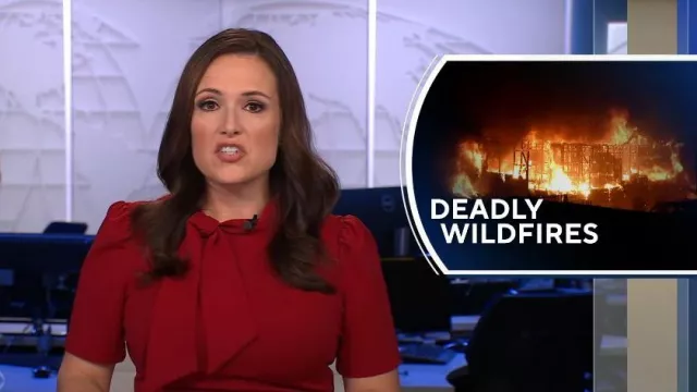 Robe trapèze à manches courtes Maggy London avec cravate portée par Nikki Battiste comme on le voit dans CBS Evening News le 5 février 2024