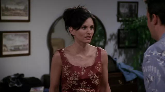 Red and Gold Silk Dress worn by Monica Geller (Courteney Cox) in Friends (S07E16)
