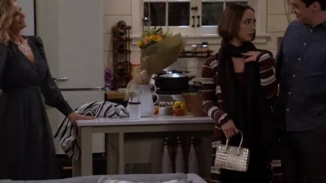 H&M Multicolor Mini Handbang porté par Celia (Emma Pfaeffle) comme on le voit dans Call Your Mother (S01E06)