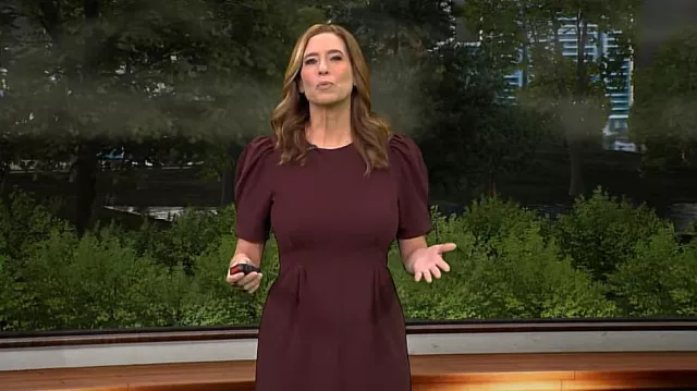 Express Puff Sleeve Dress worn by Stephanie Abrams as seen in CBS Mornings on March 15, 2024