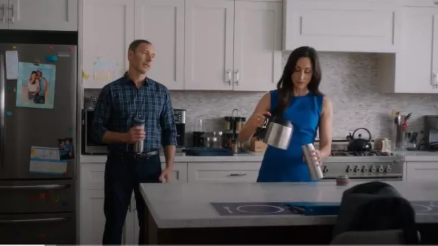 Vestido DKNY Fit & Flare usado por Kate Foster (Catherine Reitman) como se ve en Workin' Moms (T06E01)