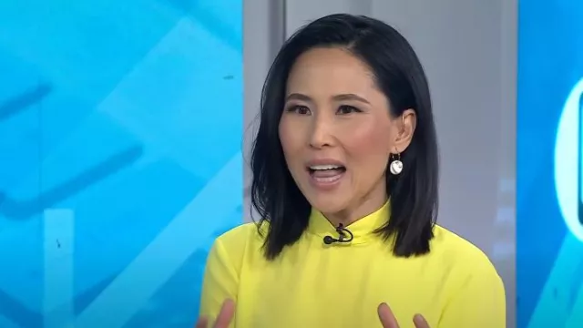 M.M. LAfleur The Sohee Top worn by Vicky Nguyen as seen in Today on April 8, 2024