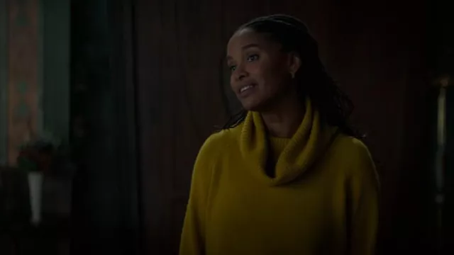 Pull à col roulé en cachemire Zimmermann porté par Helen Grace (Joy Bryant) comme on le voit dans Les Chroniques de Spiderwick (S01E05)