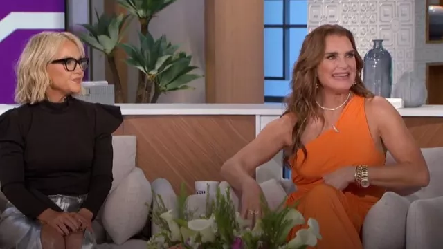 A.L.C. Delfina Dress worn by Brooke Shields as seen in The Talk on May 17, 2024