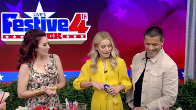 Rebecca Taylor Sleeveless Kamea Bow Dress worn by Amy E. Goodman as seen in LIVE with Kelly and Mark on July 2, 2024